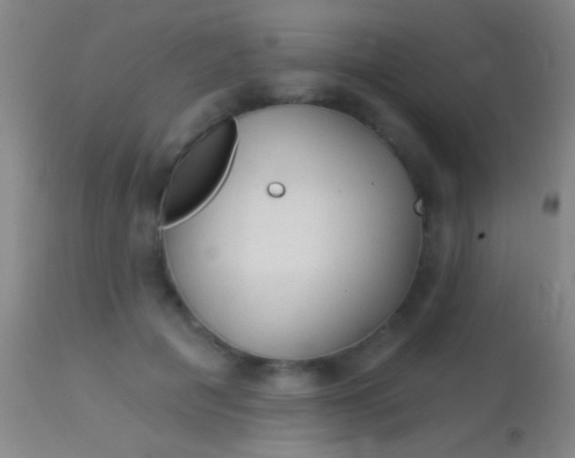 X0000113960601200910162005