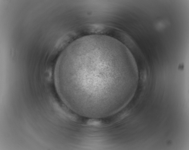 X0000113960602200910162005