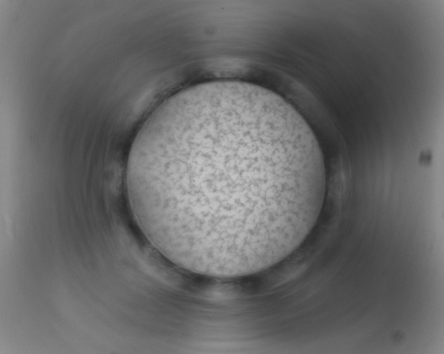 X0000113960604200910162005