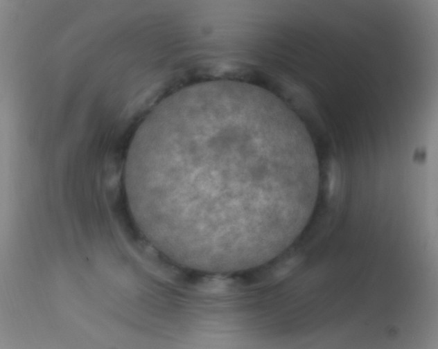 X0000113960607200910162005