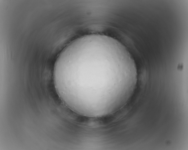 X0000113960608200910162005