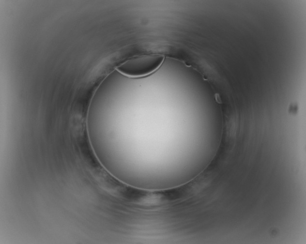 X0000113960609200910162005