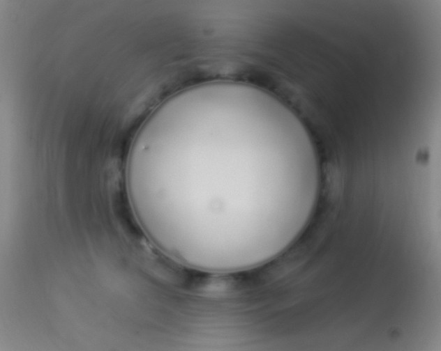 X0000113960612200910162005