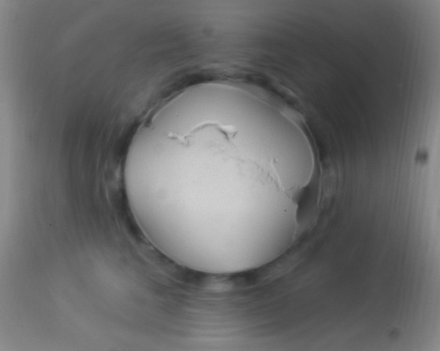 X0000113960613200910162005