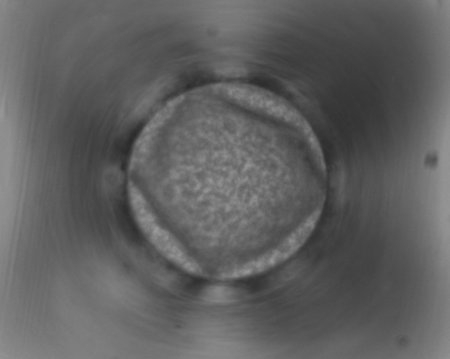 X0000113960614200910162005