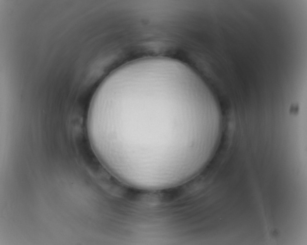 X0000113960615200910162005