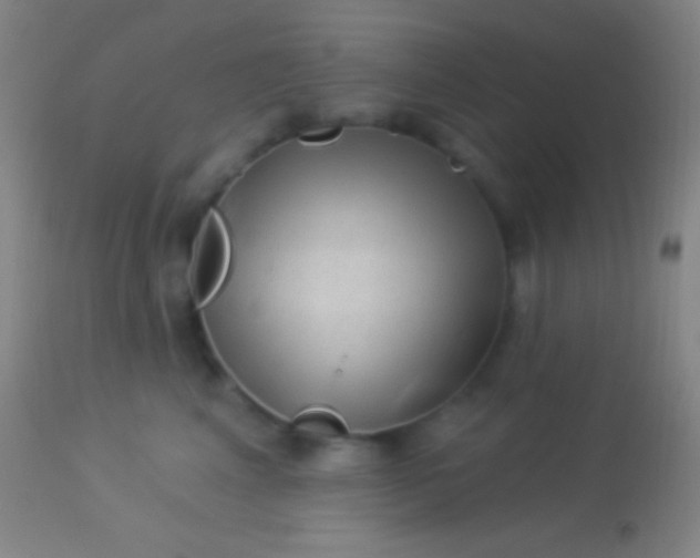 X0000113960617200910162005