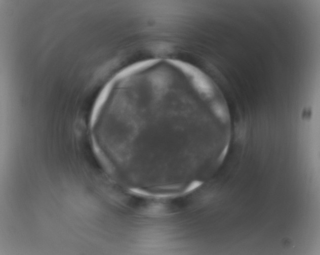 X0000113960618200910162005