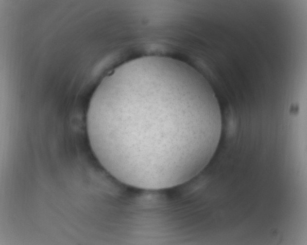 X0000113960619200910162005