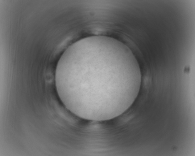 X0000113960620200910162005