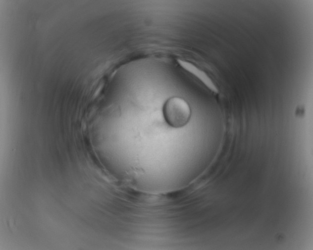 X0000113960621200910162005