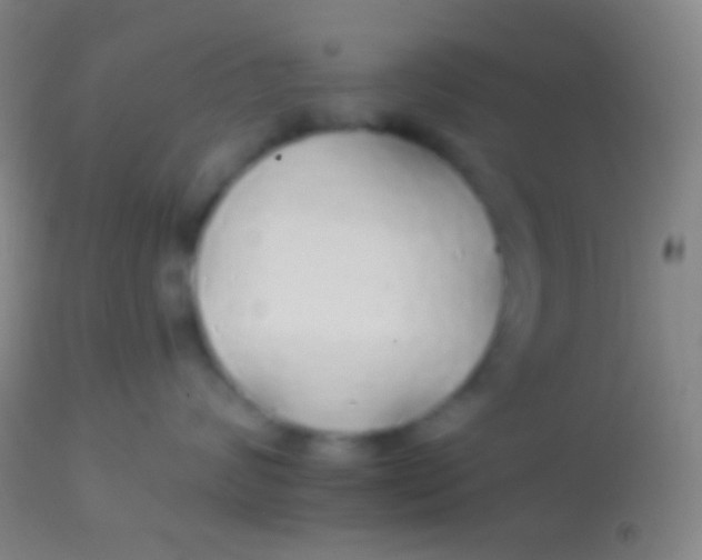 X0000113960624200910162005