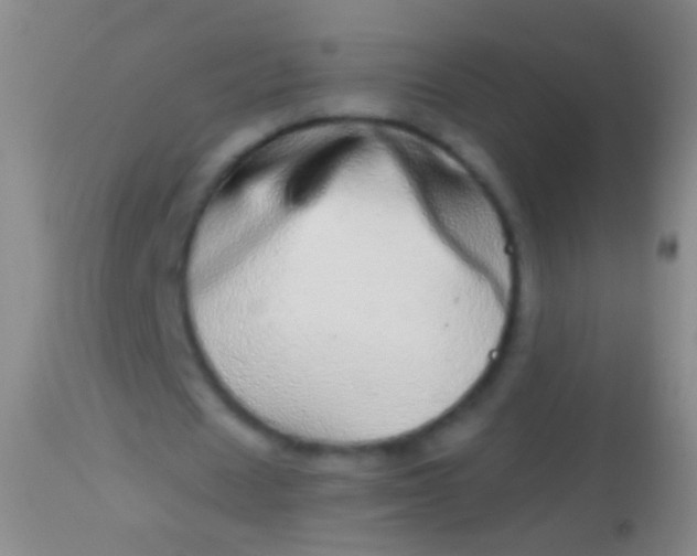 X0000113960625200910162004