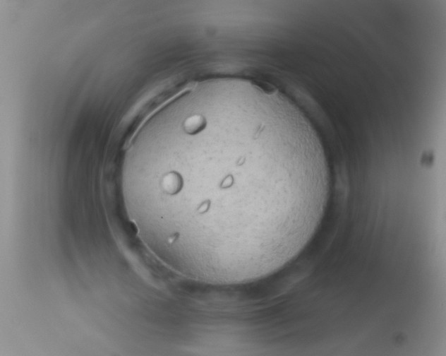 X0000113960626200910162004