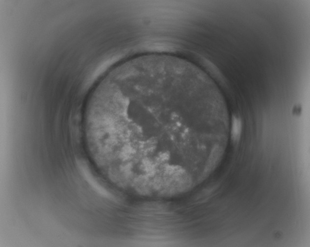 X0000113960627200910162004