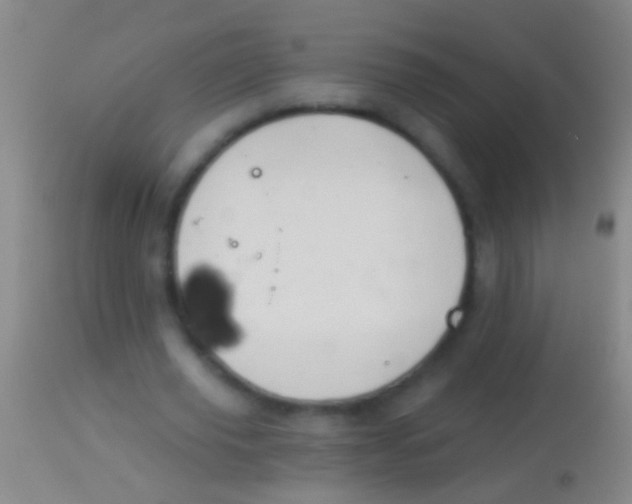 X0000113960629200910162004