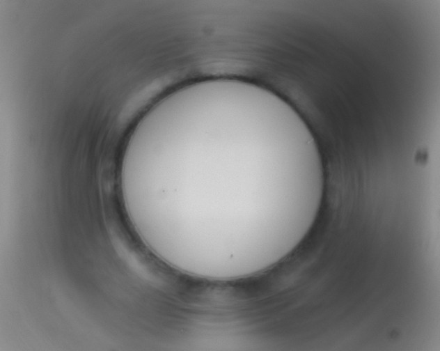 X0000113960631200910162004