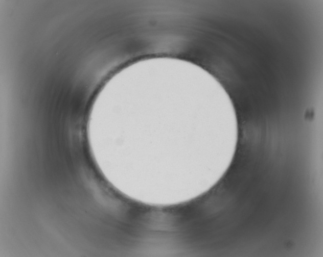 X0000113960632200910162004