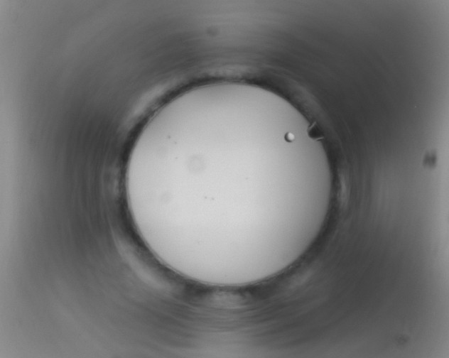 X0000113960636200910162004