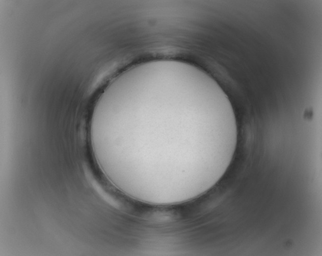 X0000113960638200910162004