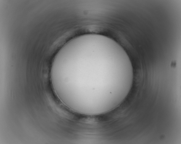 X0000113960639200910162004