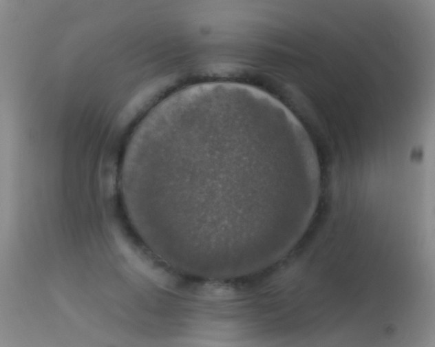 X0000113960640200910162004