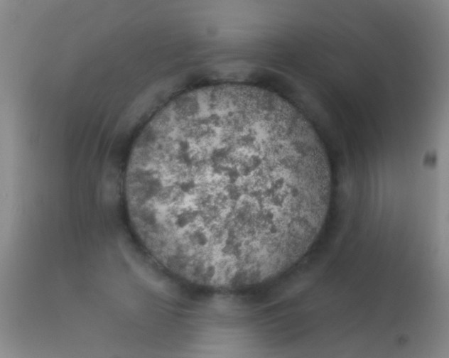 X0000113960641200910162004