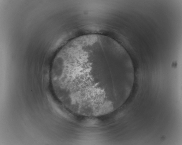 X0000113960642200910162004