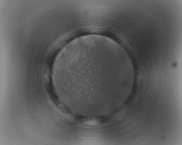 X0000113960643200910162004