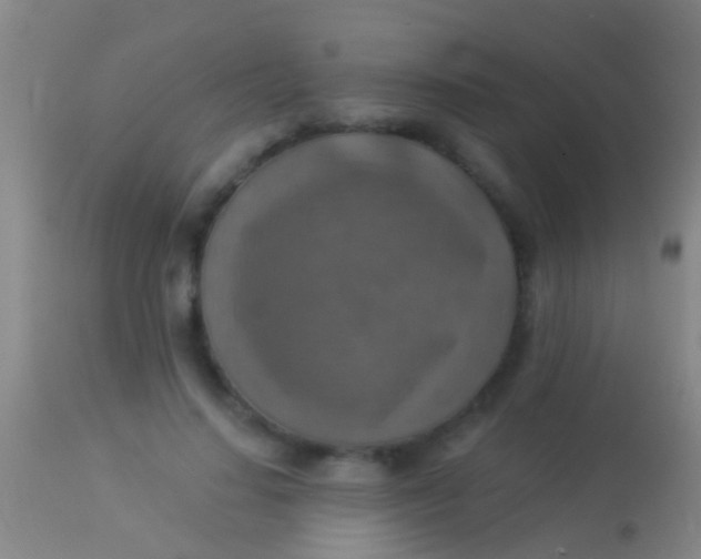 X0000113960644200910162004