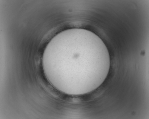 X0000113960645200910162004