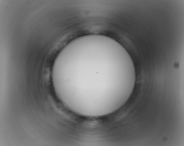 X0000113960646200910162005