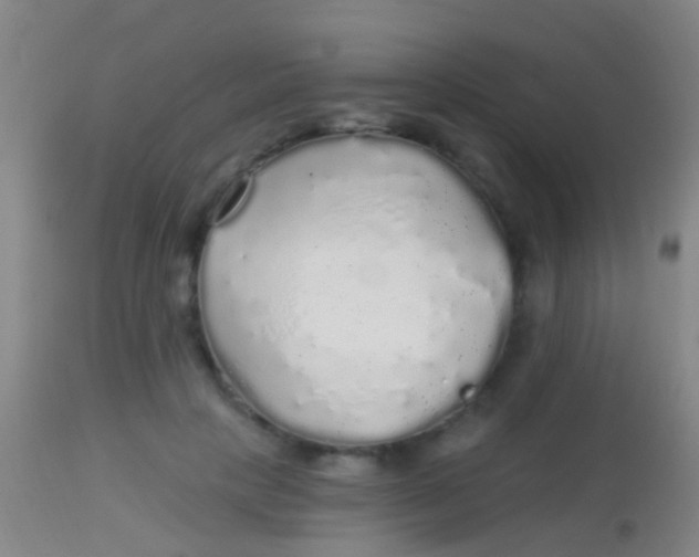 X0000113960649200910162005