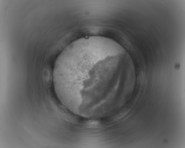 X0000113960651200910162005