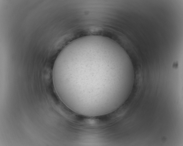 X0000113960654200910162005