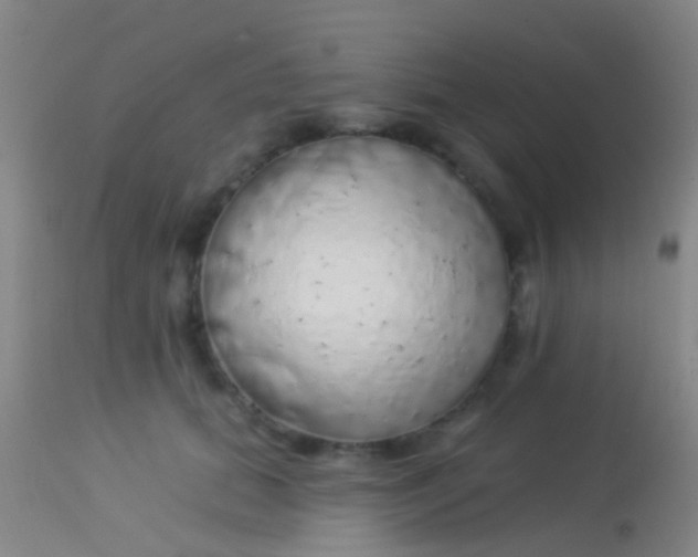 X0000113960655200910162005