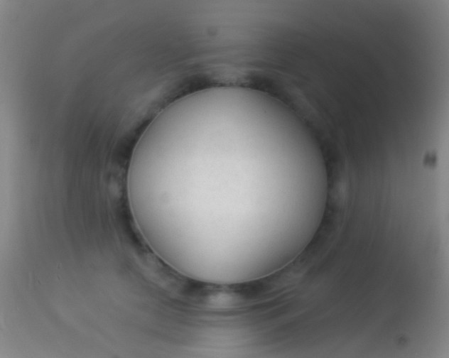 X0000113960658200910162005