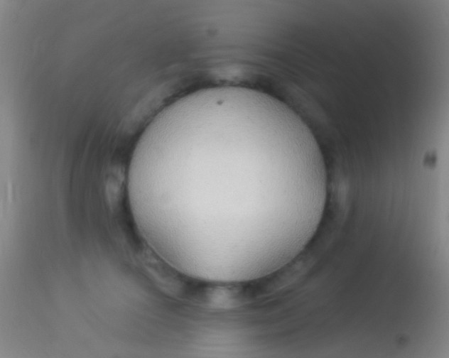 X0000113960660200910162005