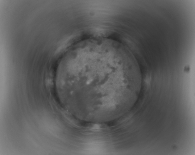 X0000113960663200910162005