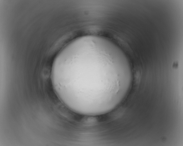 X0000113960665200910162005