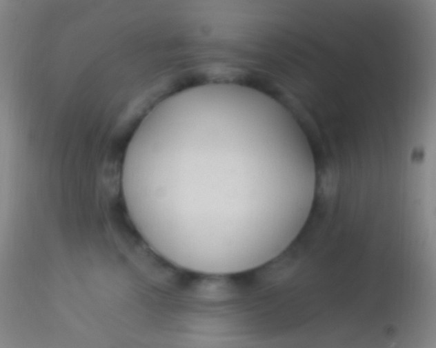 X0000113960666200910162005