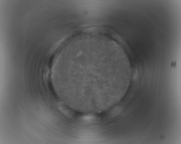 X0000113960669200910162005