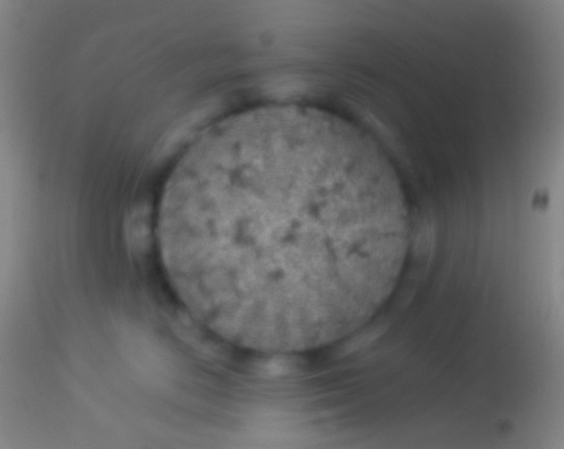 X0000113960670200910162005