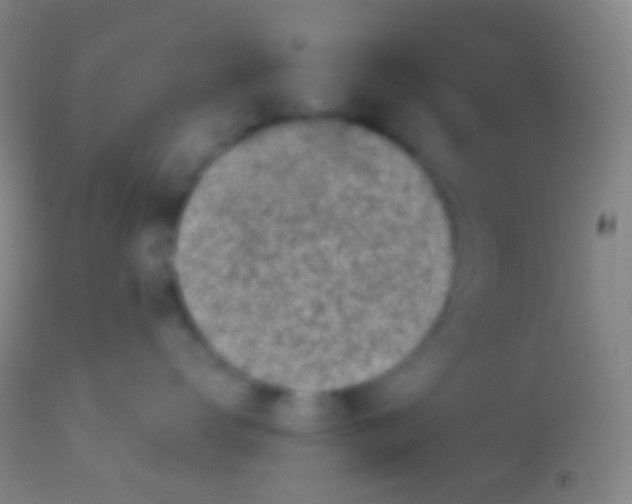 X0000113960672200910162005