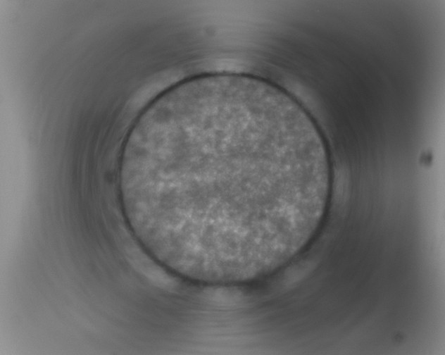 X0000113960673200910162004