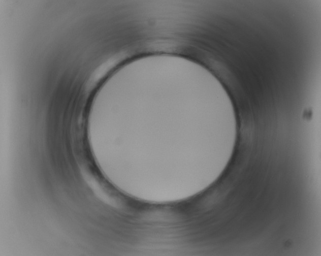 X0000113960674200910162004