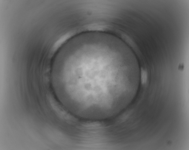 X0000113960675200910162004