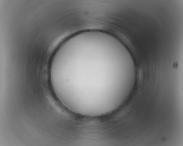 X0000113960676200910162004