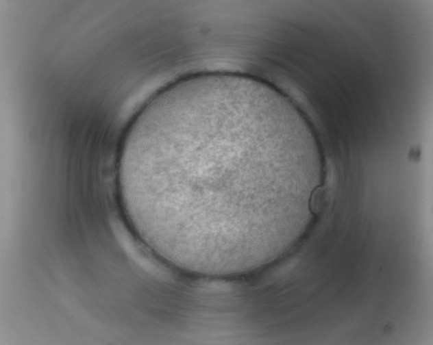 X0000113960677200910162004