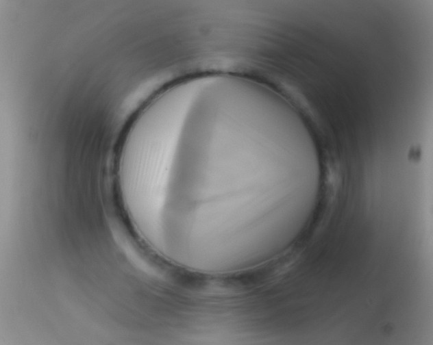 X0000113960678200910162004